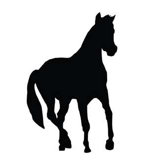 �������� �� ����  PFERD