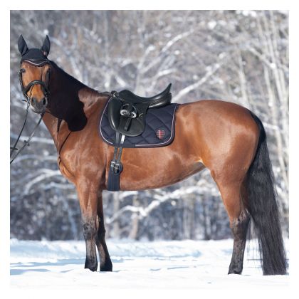 �������� Edinburgh,black forest
