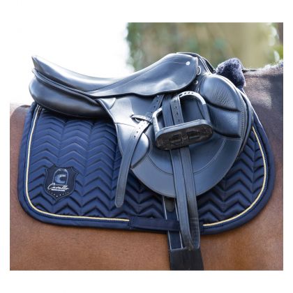 �������� Hermine,Cavallo