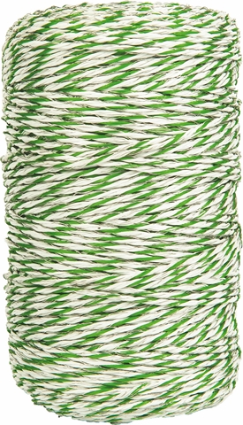 �����, 250�
