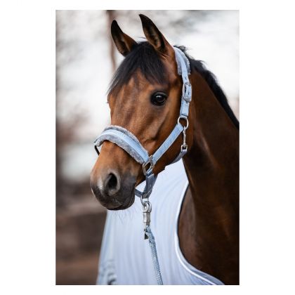 ��������� Houki,Cavallo